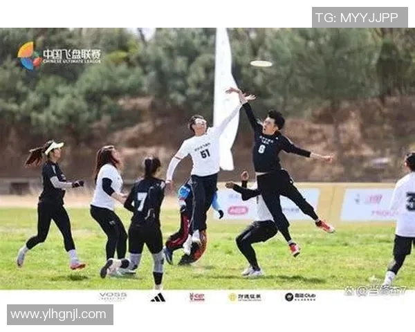 飞盘盛宴：深入了解杭州飞盘队的实力与魅力